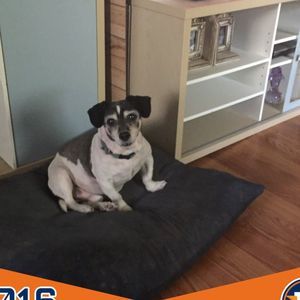 Meet your Posher, Cheri